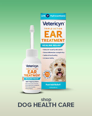 Dog Health Care